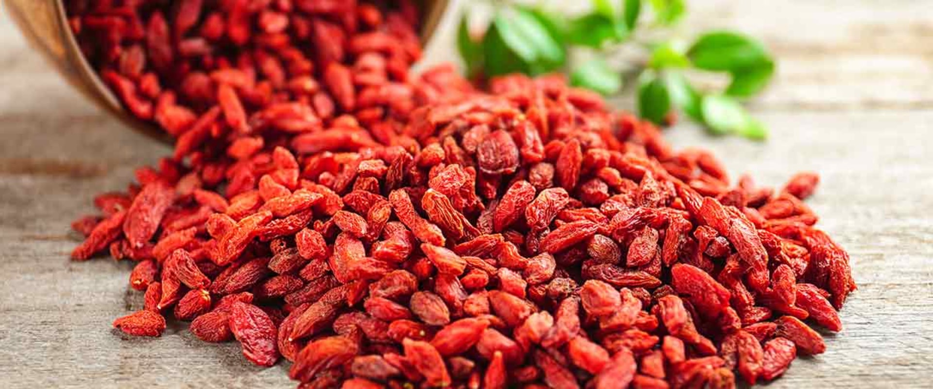 The Amazing Health Benefits of Red Wolf Berry A Comprehensive Guide