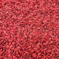 Discovering the Immune-Boosting Properties of Red Wolf Berry