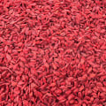 The Power of Red Wolf Berry: Unlocking its Antioxidant Benefits