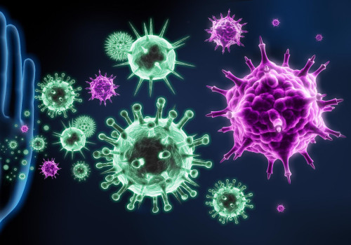 The Role of the Immune System in Protecting Against Diseases